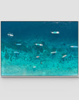 Gili T Bluewater - Art Print - Float Frame Canvas - White - Landscape