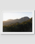 Jungle Morning Light - Bali - Art Print - Traditional Frame - White - Landscape