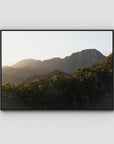 Jungle Morning Light - Bali - Art Print - Float Frame Canvas - Black - Landscape