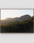 Jungle Morning Light - Bali - Art Print - Float Frame Canvas - Raw Oak - Landscape