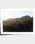 Jungle Morning Light - Bali - Art Print - Fine Art Paper - Unframed Print - Landscape