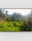 Tegalalang Rice Fields - Ubud iii - Art Print - Float Frame Canvas - Raw Oak - Landscape