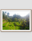 Tegalalang Rice Fields - Ubud iii - Art Print - Traditional Frame - Raw Oak - Landscape