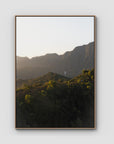 Jungle Morning Light - Bali - Art Print - Float Frame Canvas - Raw Oak - Portrait