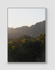 Jungle Morning Light - Bali - Art Print - Float Frame Canvas - White - Portrait