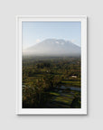 Rice Paddy Sunset East Bali ii - Art Print - Traditional Frame - White - Portrait