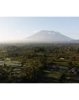 Rice Paddy Sunset East Bali ii - Art Print