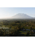 Rice Paddy Sunset East Bali ii - Art Print Tidaltones