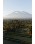 Rice Paddy Sunset East Bali - Art Print