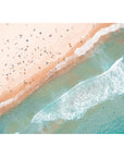 Bondi Beach Top Down - Tidaltones