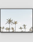 Tropical Palms ii - Art Print - Float Frame Canvas - Black - Landscape