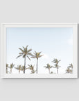 Tropical Palms ii - Art Print - Traditional Frame - White - Landscape