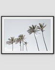 Tropical Palms iii - Art Print - Traditional Frame - Black - Landscape