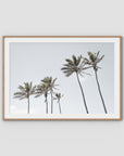 Tropical Palms iii - Art Print - Traditional Frame - Raw Oak - Landscape