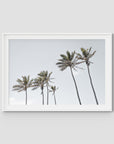 Tropical Palms iii - Art Print - Traditional Frame - White - Landscape