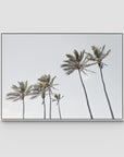 Tropical Palms iii - Art Print - Float Frame Canvas - White - Landscape