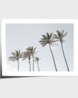 Tropical Palms iii - Art Print - Fine Art Paper - Unframed Print - Landscape