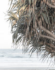 Pandanus & Ocean - Fine Art Print Tidaltones