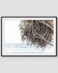 Pandanus & Ocean - Fine Art Print Tidaltones