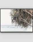 Pandanus & Ocean - Fine Art Print Tidaltones