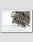 Pandanus & Ocean - Fine Art Print Tidaltones