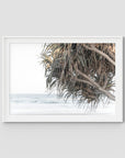 Pandanus & Ocean - Fine Art Print Tidaltones