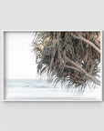 Pandanus & Ocean - Fine Art Print Tidaltones