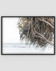 Pandanus & Ocean - Fine Art Print Tidaltones