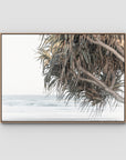 Pandanus & Ocean - Fine Art Print Tidaltones