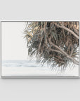 Pandanus & Ocean - Fine Art Print Tidaltones