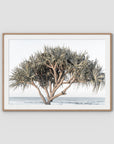 Pandanus By The Sea - Art Print - Traditional Frame - Raw Oak - Landscape