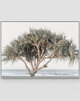 Pandanus By The Sea - Art Print - Float Frame Canvas - White - Landscape