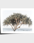 Pandanus By The Sea - Art Print - Fine Art Paper - Unframed Print - Landscape
