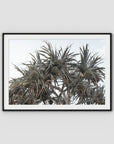 Pandanus Arvo Sun - Art Print - Traditional Frame - Black - Landscape