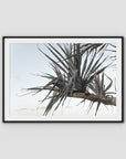 Pandanus Branch - Art Print - Traditional Frame - Black - Landscape