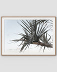 Pandanus Branch - Art Print - Traditional Frame - Raw Oak - Landscape