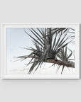 Pandanus Branch - Art Print - Traditional Frame - White - Landscape