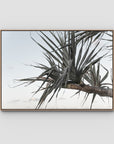 Pandanus Branch - Art Print - Float Frame Canvas - Raw Oak - Landscape
