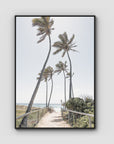 Gold Coast Palms - Gold Coast - Art Print - Float Frame Canvas - Black - Portrait