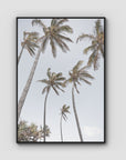 Tropical Palms - Art Print - Float Frame Canvas - Black - Portrait