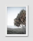 Pandanus By The Sea iii - Art Print - Traditional Frame - White - Portrait