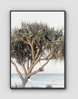 Pandanus By The Sea - Art Print - Float Frame Canvas - Black - Portrait