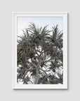 Pandanus Arvo Sun - Art Print - Traditional Frame - White - Portrait