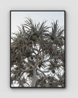 Pandanus Arvo Sun - Art Print - Float Frame Canvas - Black - Portrait