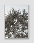 Pandanus Arvo Sun - Art Print - Float Frame Canvas - White - Portrait