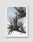 Pandanus Branch - Art Print - Traditional Frame - White - Portrait