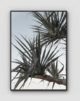 Pandanus Branch - Art Print - Float Frame Canvas - Black - Portrait