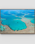 Great Barrier Reef Veins - Art Print - Float Frame Canvas - Raw Oak - Landscape