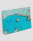 Heart Reef - Art Print Tidaltones