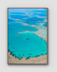 Great Barrier Reef Veins - Art Print - Float Frame Canvas - Raw Oak - Portrait